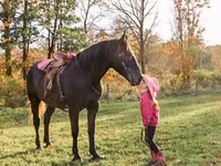 Horse (M), Hunter — photo 2