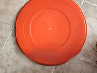 Chicks Trays — fotografija 2