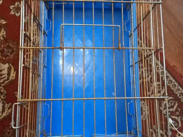 Թռչնի վանդակ ցանկացած թռչնատեսակի համար