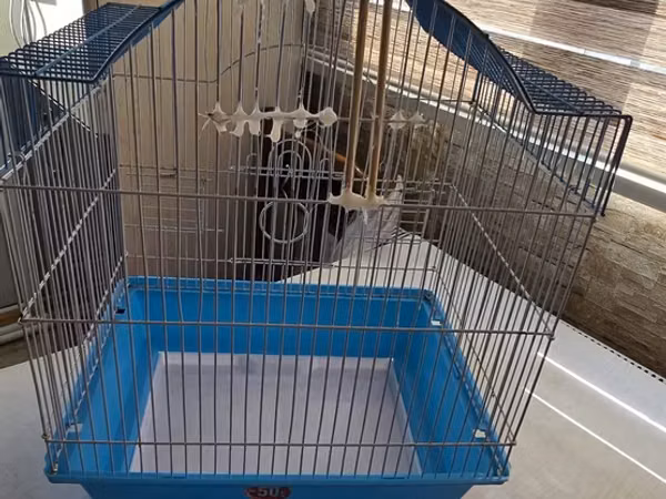 Qefes yuva yeri qoyuldugu ucun bir terefde bosluqlar var oda problem