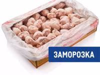 Кура — foto 1