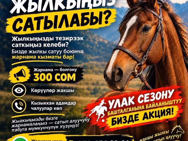 Atlar (partiya, cinsi göstərilməyib), Atlar