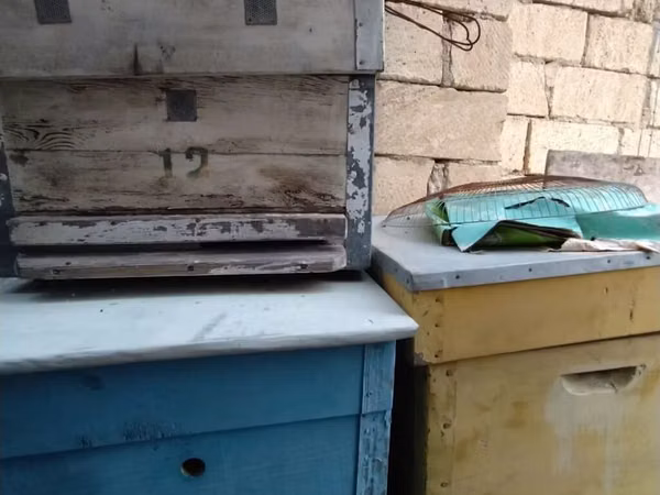 Arıçılıq üçün taxta pətəklər - Material: qalın taxta, künclərdə metal
