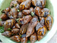 Snail Feed Supplement(10kg) — foto 5