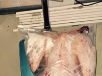 Vindem carne de curcan/curci — 照片 3