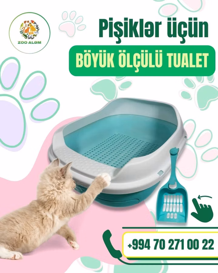 Pişiyiniz üçün ВÖУÜК ölçülü tualet. İstifadəsi rahat olan bu məhsulu