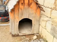 Taxta it evi - Material: təbii taxta lövhələr, ikiqat maili dam — foto 1
