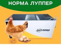 Российский инкубаторлор: Норма луппер 72. Норма парка 120. Норма — foto 2