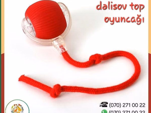 Ağıllı top oyunçağı (pişik və it üçün) Ev heyvanınızı darıxmağa