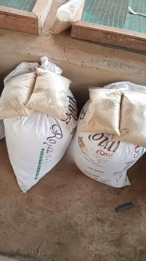 Snail Formulated Feed