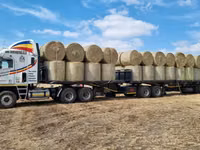 Eragrostis bales - Round / Big (For Sale) — 照片 4