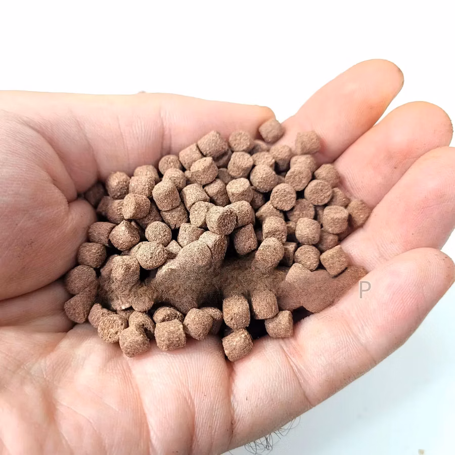 Nutritious 4mm Catfish Feed