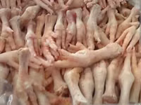 Свинина оптом — полутуши и субпродукты Ассортимент: - Свинина в — फ़ोटो 2