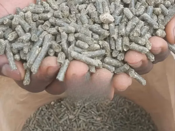 Alfalfa Pellets 25 Kg Also Wholesale Price Available.
