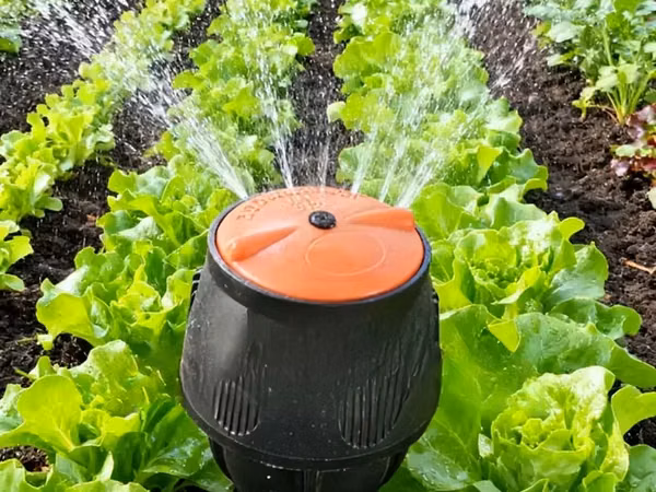 Uv Resistant Egg Irrigation Sprinkler
