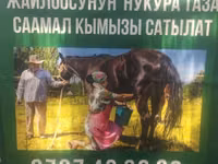 Кымыз из Кочкорского района - Натуральный саамал кымыз с высокогорных — foto 3
