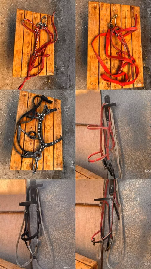 Жүген т,б ат әбзелдері