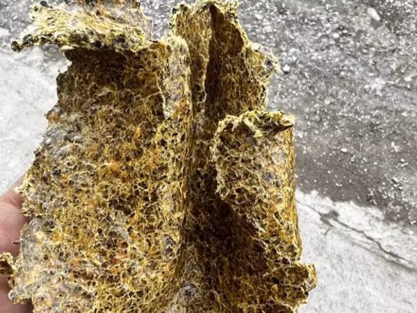 Пахта кунжара
Хлопковое жмых