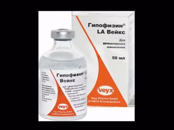 ГИПОФИЗИН ® LA ВЕЙКС / содержит 0,07 мг карбетоцин