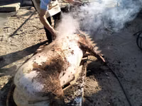 Vind carne de purcel — फ़ोटो 2