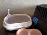 Ev heyvanları üçün dəst: daşıma çantası, tualet qabı və iki bölməli — photo 3