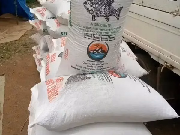 For Quality Fish Feeds Contact Us