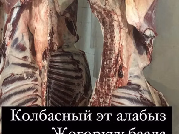 Туша