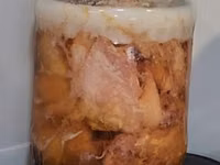 Tusonca de casă — φωτογραφία 2