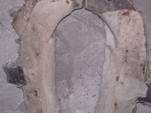 At arabası/yük arabası üçün köhnə tip qoşqu boyunduruğu (xomut) -