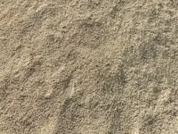 Ячмень (зерно) адрес село СУУСАМЫР - Кормовой ячмень, цельное зерно — foto 3