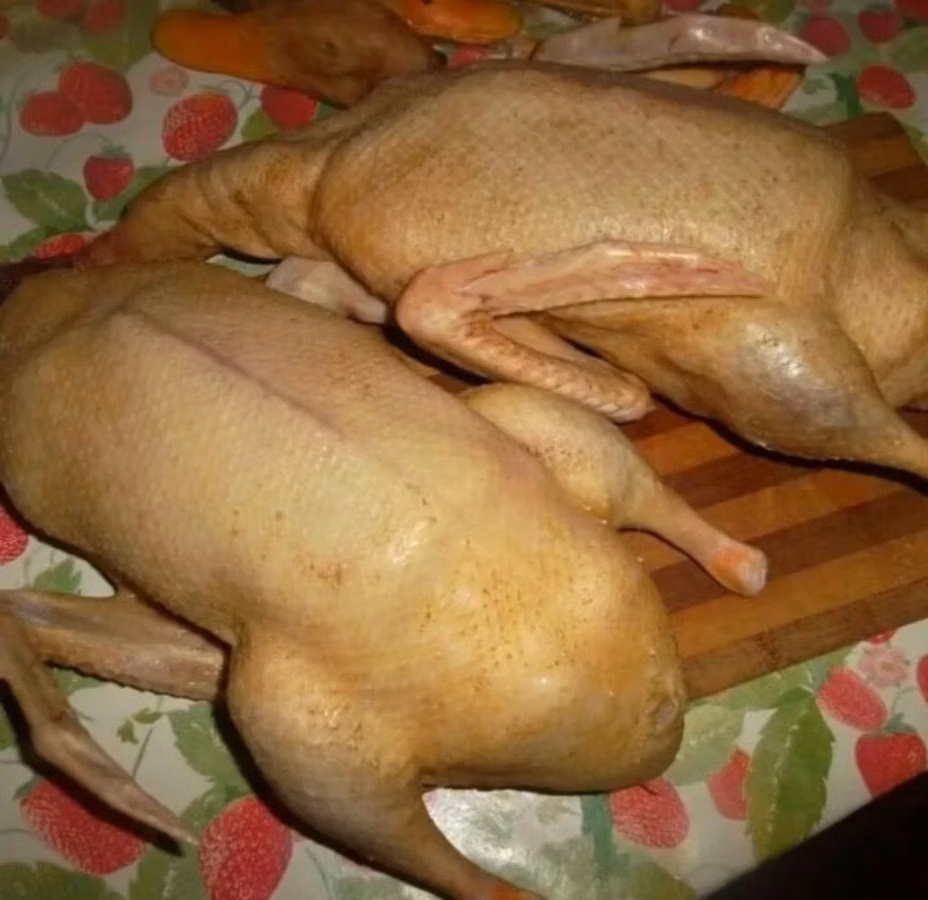 Продаю мясо индоуток, броллерных кур, выращенных в домашних условиях