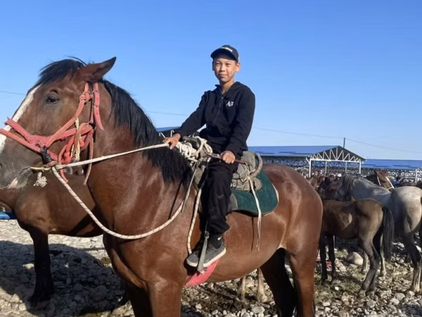 Horse (M), Horses — Kyrgyzstan