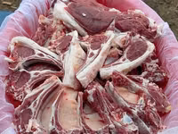 Beran, Rhon sheep — foto 7