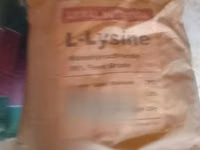 L Lysine 25kg — 照片 2