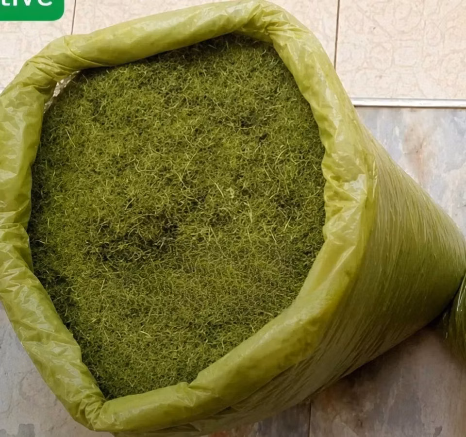 Animal Feed - Moringa Chaff