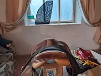 Село продаю скаковое состояние хорошее итальянское покупали новое с — foto 3