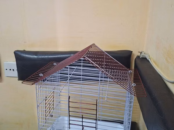 Quş qəfəsi – dam formalı metal konstruksiya - Material: toz boya ilə