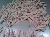 Chicken Feet — fotografija 1