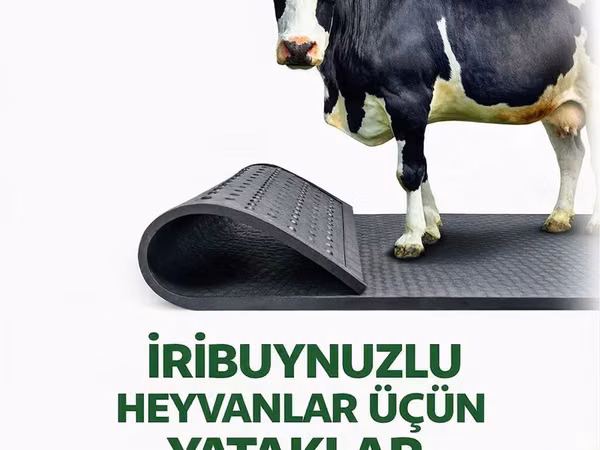 İriboynuzlu heyvanlar üçün yataqlar - Ferma və tövlələr üçün xüsusi
