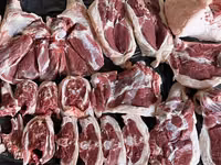 Cừu đực, Cừu — ảnh 4