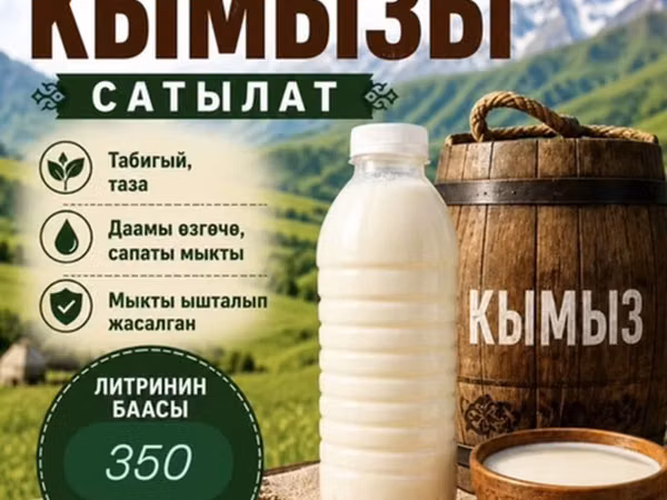 🐎 Алайкуунун нукура кымызы эми Бишкекте! Табигый даамды баалагандар