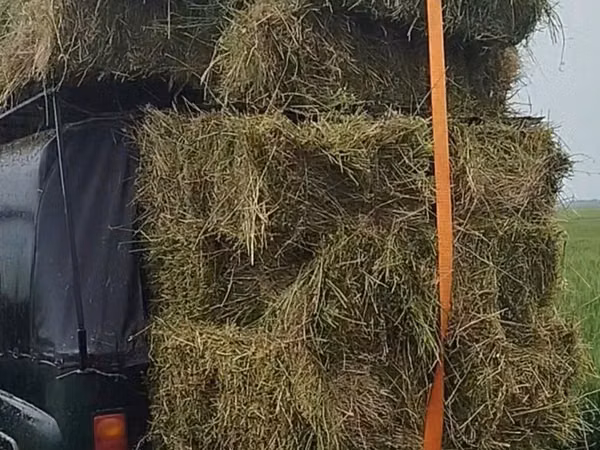 Продается тюки люцерны