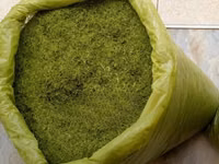 Animal Feed - Moringa Chaff — foto 1