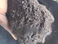 Sunflower Seeds Meal for Animal Feeds (Mashudu Ya Alizeti) — 照片 2