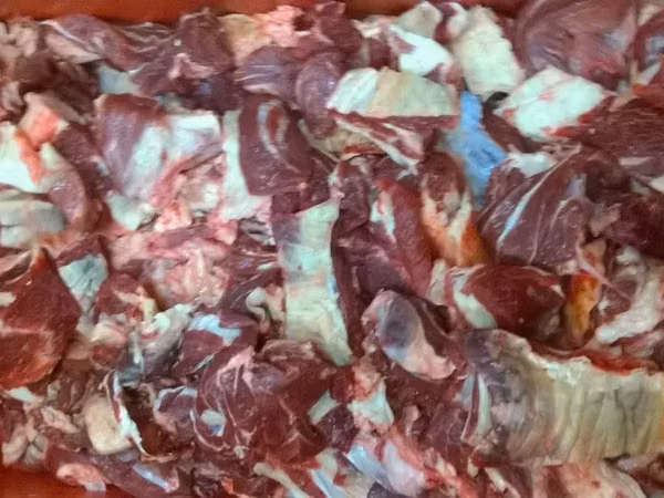 Котлетное мясо говяжье 80/20 зам