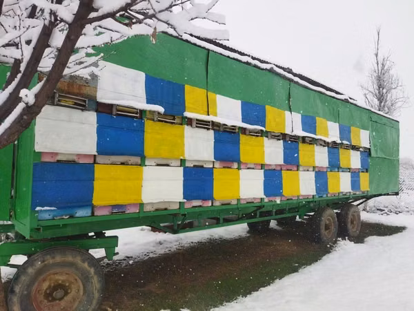 Пчелопавильон на 84 семьи