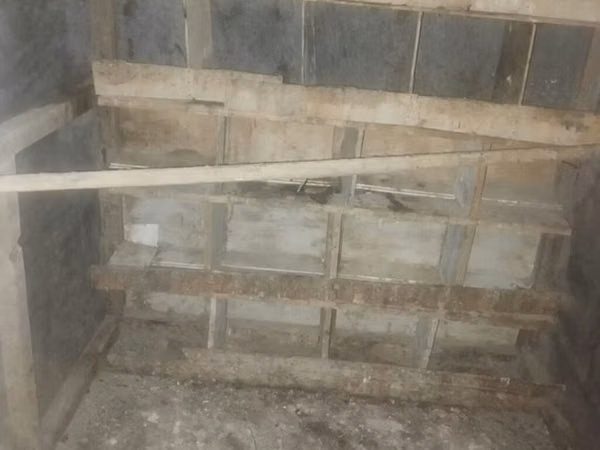 Qus dami satilir tecili. 200manat real alici yazsin