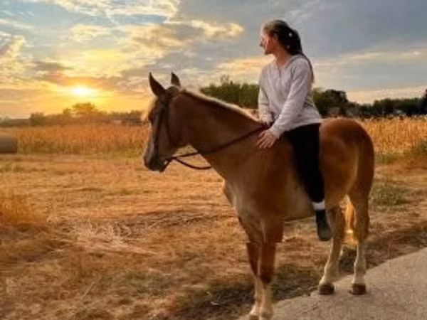 Horse (M), Horses — Hungary