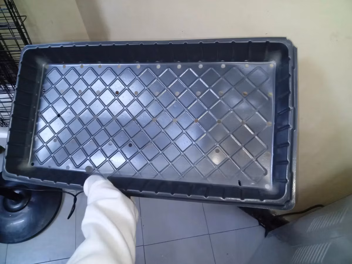 Water-Flow Hydroponic Growing Trays - With Holes