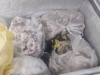 Замороженное мясо в фасованных пакетах баранина -мясо баранина на фарш — फ़ोटो 2